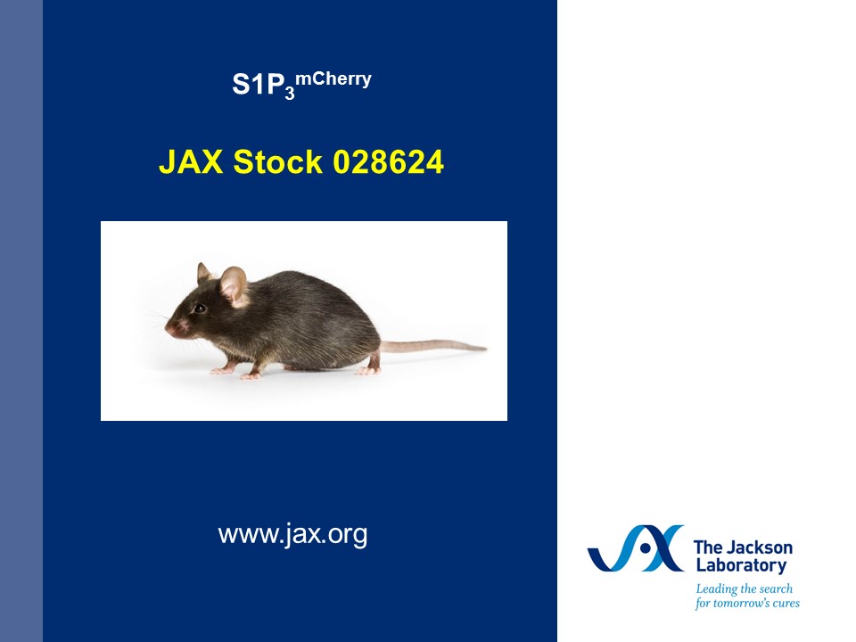 S1P3 mCherry Mice at JAX